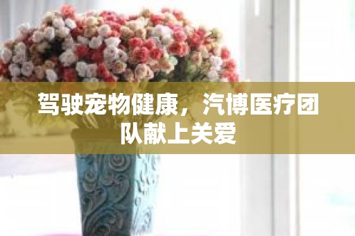 驾驶宠物健康，汽博医疗团队献上关爱
