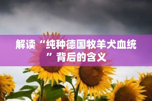 解读“纯种德国牧羊犬血统”背后的含义