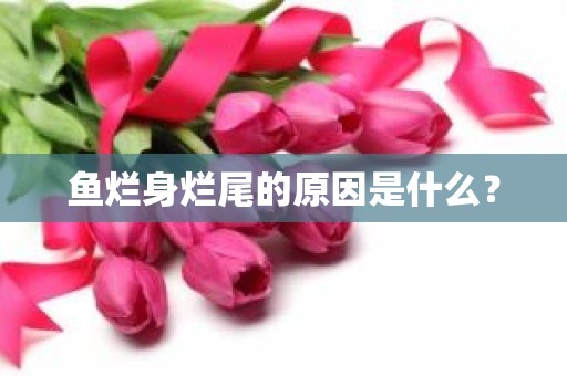 鱼烂身烂尾的原因是什么？