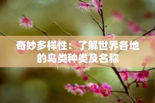 奇妙多样性：了解世界各地的鸟类种类及名称