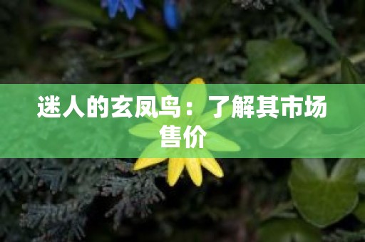 迷人的玄凤鸟：了解其市场售价
