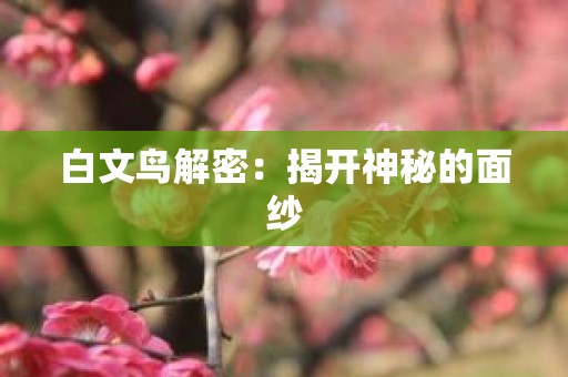 白文鸟解密：揭开神秘的面纱