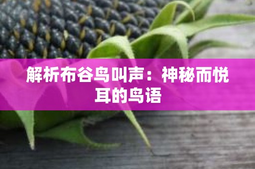 解析布谷鸟叫声：神秘而悦耳的鸟语