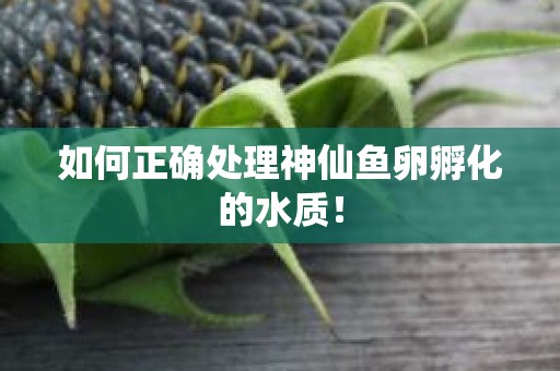 如何正确处理神仙鱼卵孵化的水质！