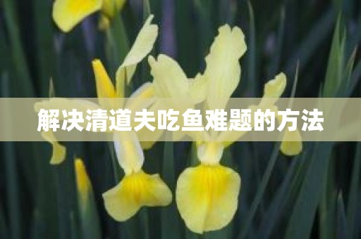 解决清道夫吃鱼难题的方法