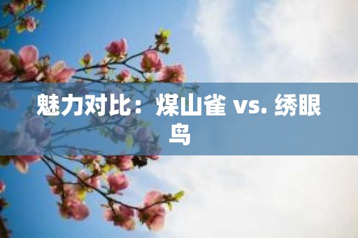 魅力对比：煤山雀 vs. 绣眼鸟