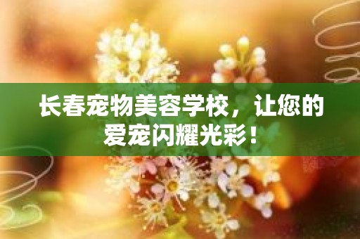 长春宠物美容学校，让您的爱宠闪耀光彩！