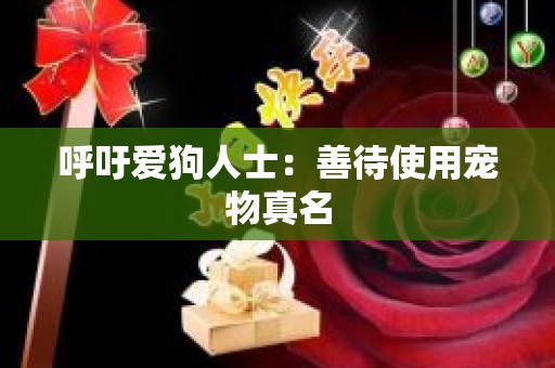 呼吁爱狗人士：善待使用宠物真名