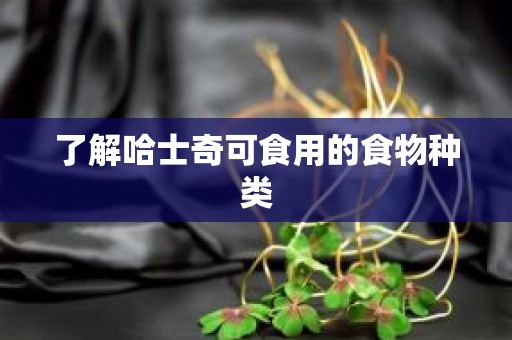 了解哈士奇可食用的食物种类