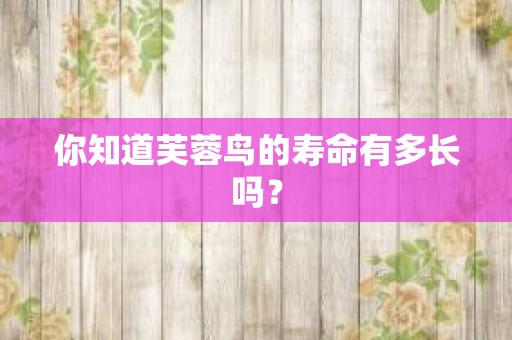 你知道芙蓉鸟的寿命有多长吗？