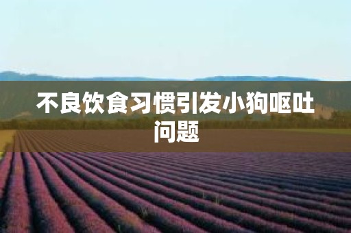 不良饮食习惯引发小狗呕吐问题