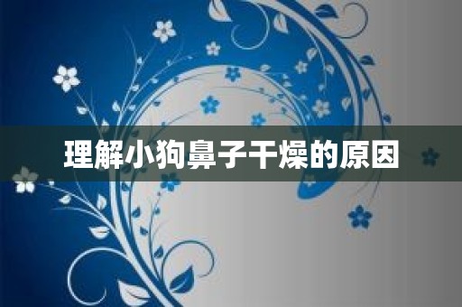 理解小狗鼻子干燥的原因