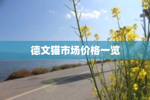 德文猫市场价格一览