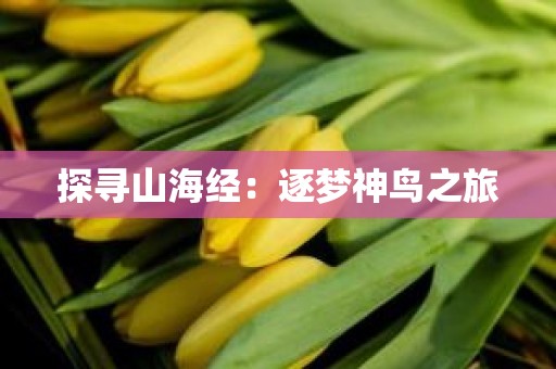 探寻山海经：逐梦神鸟之旅