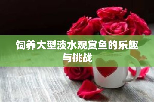 饲养大型淡水观赏鱼的乐趣与挑战