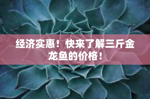 经济实惠！快来了解三斤金龙鱼的价格！