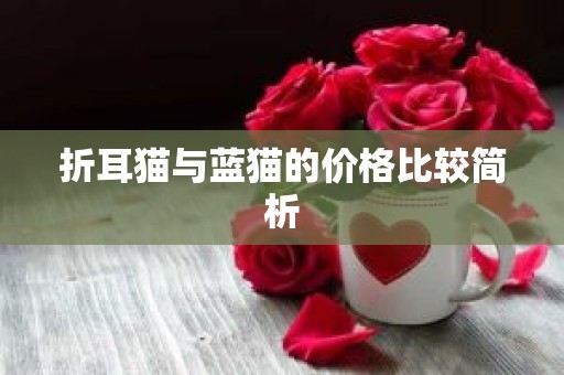 折耳猫与蓝猫的价格比较简析