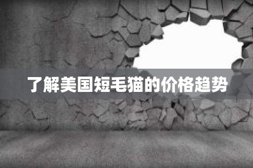 了解美国短毛猫的价格趋势