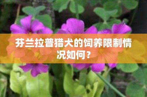 芬兰拉普猎犬的饲养限制情况如何？