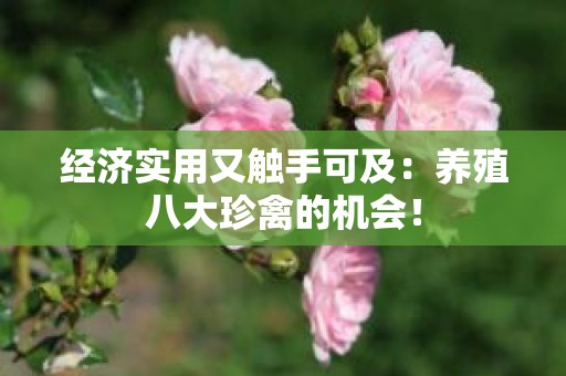 经济实用又触手可及：养殖八大珍禽的机会！