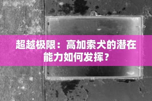 超越极限：高加索犬的潜在能力如何发挥？