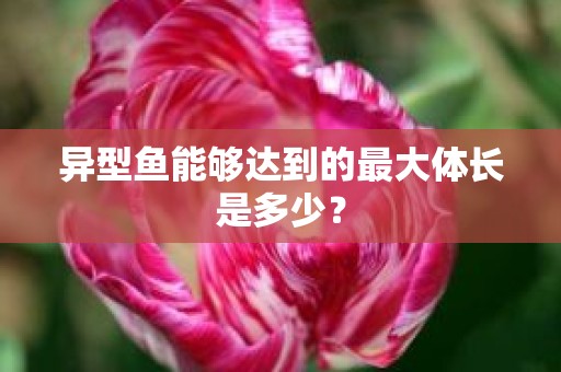 异型鱼能够达到的最大体长是多少？