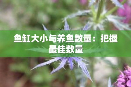 鱼缸大小与养鱼数量：把握最佳数量