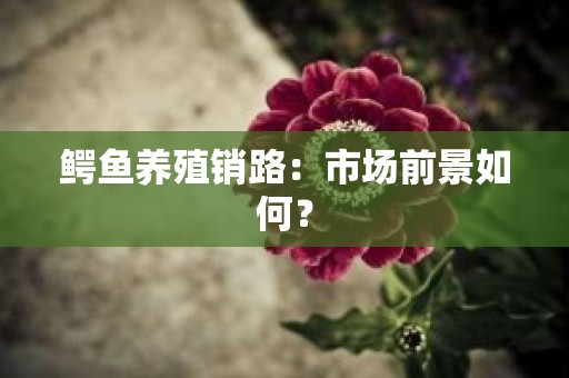 鳄鱼养殖销路：市场前景如何？