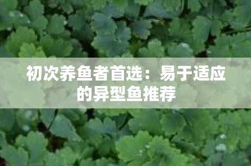 初次养鱼者首选：易于适应的异型鱼推荐