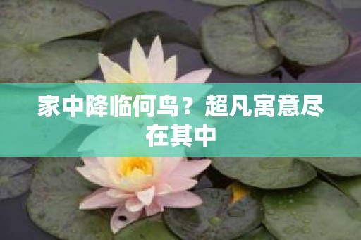 家中降临何鸟？超凡寓意尽在其中