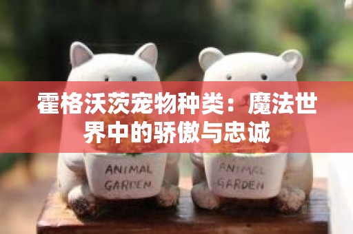 霍格沃茨宠物种类：魔法世界中的骄傲与忠诚