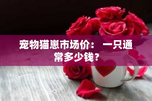 宠物猫崽市场价： 一只通常多少钱？