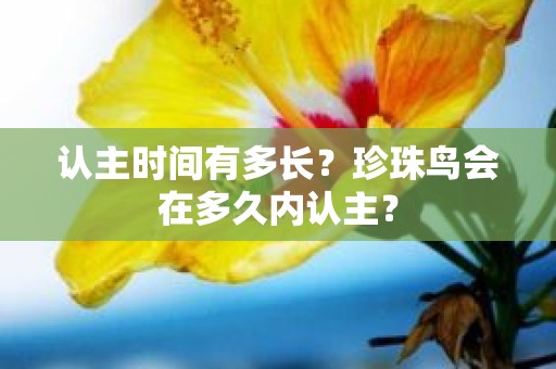 认主时间有多长？珍珠鸟会在多久内认主？