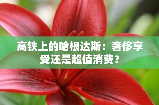 高铁上的哈根达斯：奢侈享受还是超值消费？