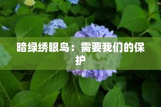 暗绿绣眼鸟：需要我们的保护