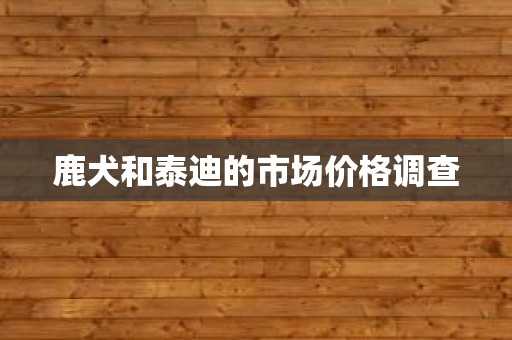 鹿犬和泰迪的市场价格调查