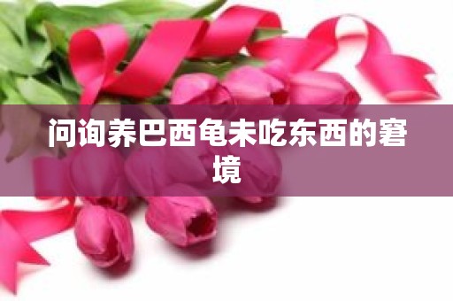 问询养巴西龟未吃东西的窘境