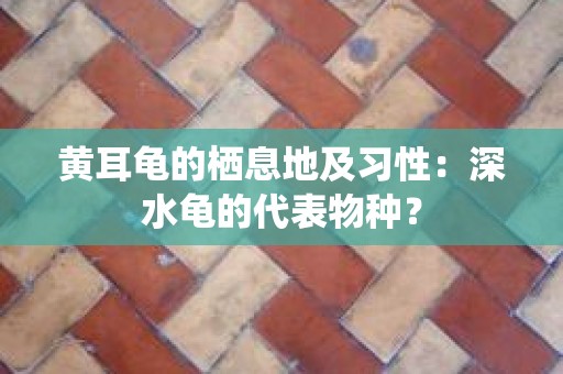 黄耳龟的栖息地及习性：深水龟的代表物种？