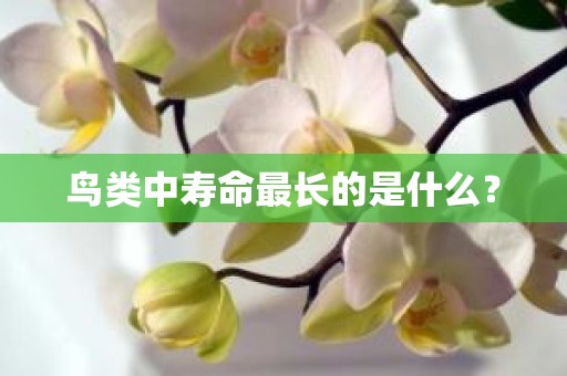 鸟类中寿命最长的是什么？