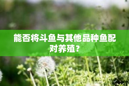 能否将斗鱼与其他品种鱼配对养殖？
