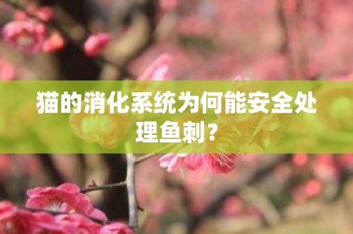 猫的消化系统为何能安全处理鱼刺？