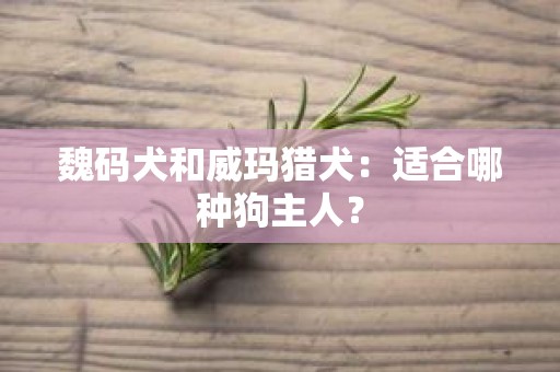 魏码犬和威玛猎犬：适合哪种狗主人？