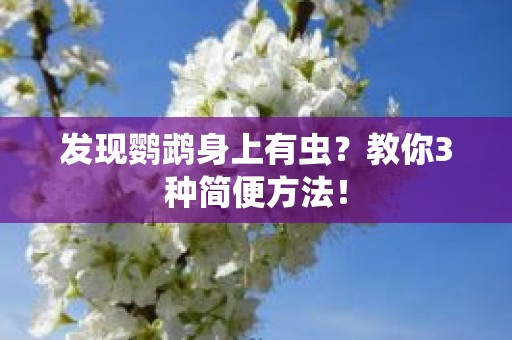 发现鹦鹉身上有虫？教你3种简便方法！