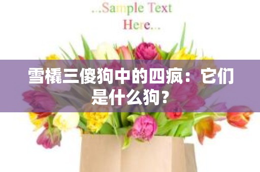 雪橇三傻狗中的四疯：它们是什么狗？