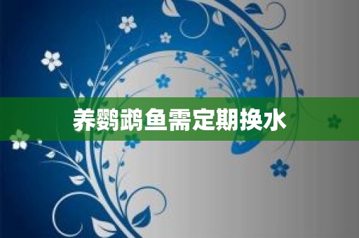 养鹦鹉鱼需定期换水