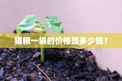 猫粮一袋的价格是多少钱？