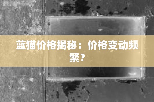 蓝猫价格揭秘：价格变动频繁？