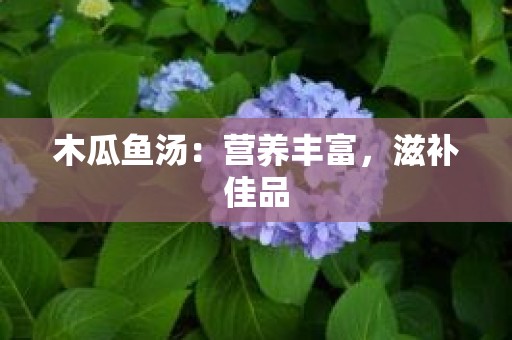 木瓜鱼汤：营养丰富，滋补佳品