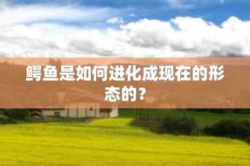 鳄鱼是如何进化成现在的形态的？
