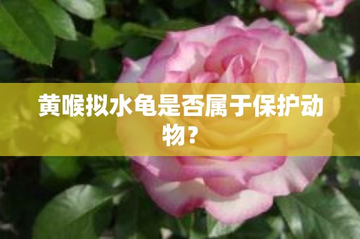 黄喉拟水龟是否属于保护动物？